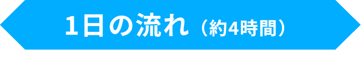 一日の流れ